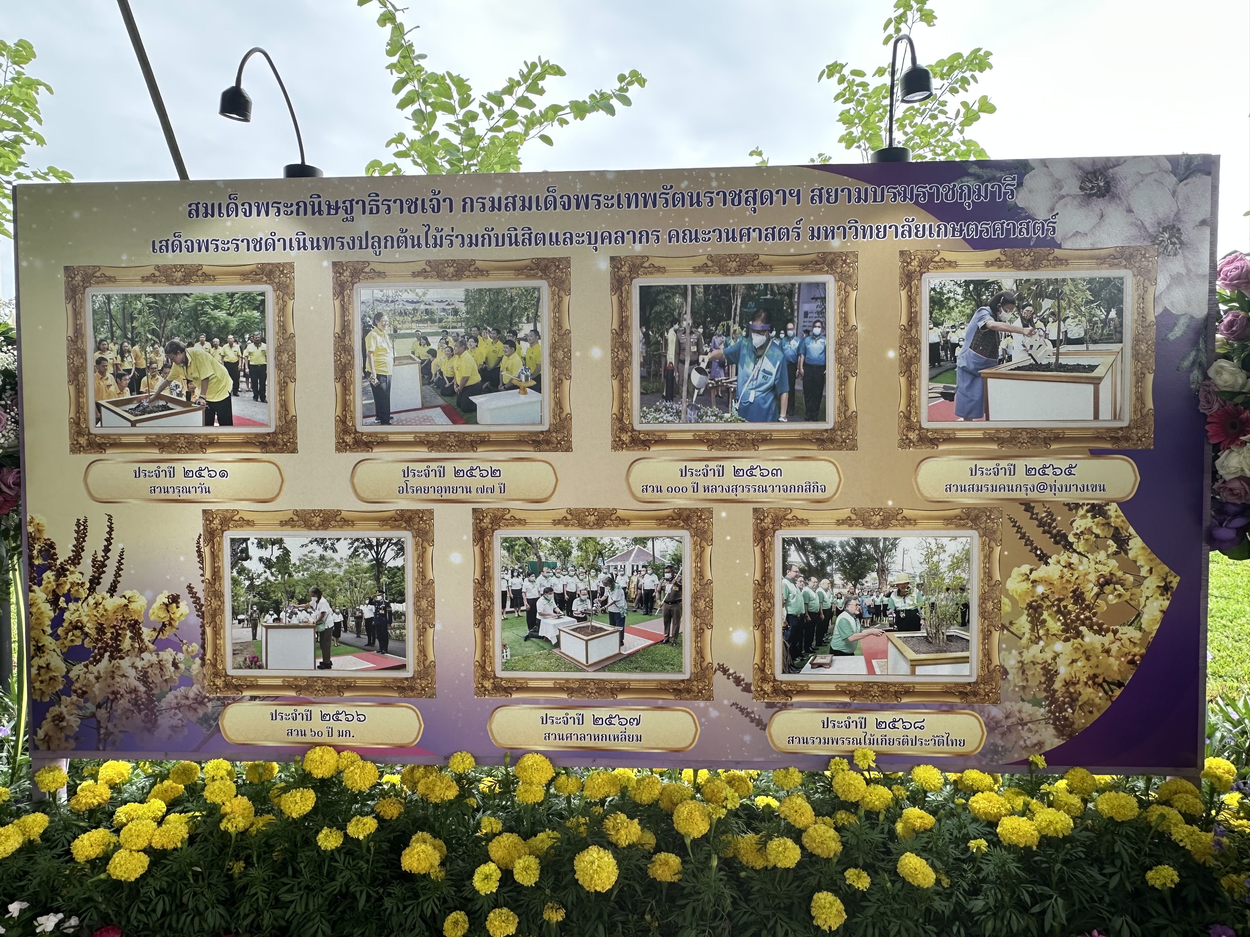 "เห็ดโกงกางจิ๋วสิรินธร" เห็ดชนิดใหม่ของโลก จากป่าชายเลนไทย สู่นิทรรศการรับเสด็จฯ